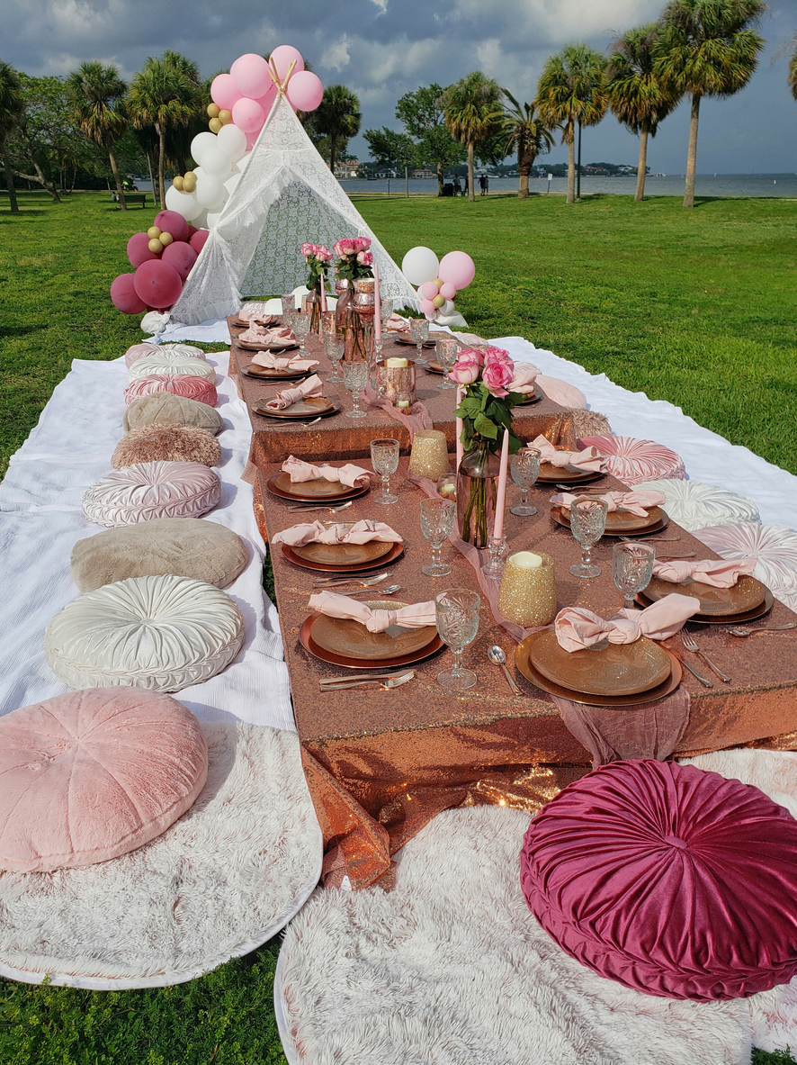 Fancy Picnic at Park